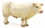 Little Buster Charolais Bull 1:16 Scale