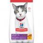 Adult 11+ Chicken Recipe Cat Food 7 lb