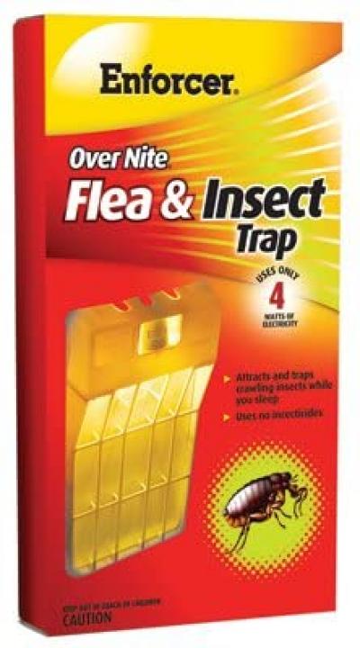 Enforcer Over Nite Flea & Insect Trap Night Lite