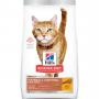 Adult Feline Hairball Control Dry Cat Food 15.5lb