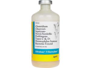 Ultrabac 7 Somubac 50 Dose