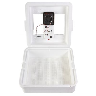 Circulated Air Incubator