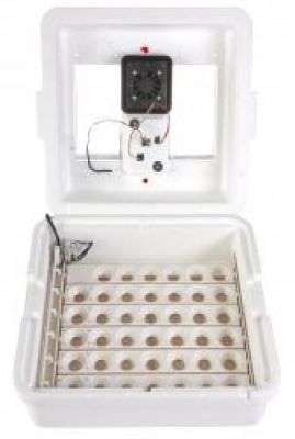 Deluxe Incubator with Egg Turner