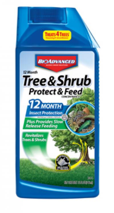 Bio Advanced 12 Month Tree & Shrub Protect & Feed II Concentrate - 1 Quart