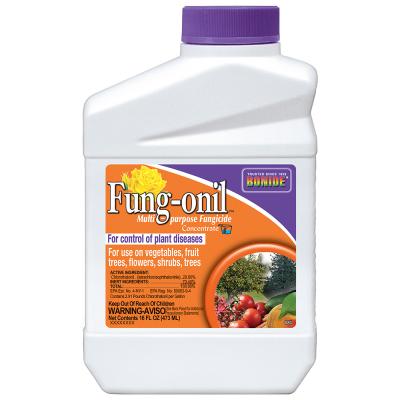 BONIDE 16 oz Fung-onil Fungicide Concentrate