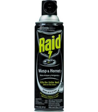 Raid Wasp & Hornet Killer Aerosol 17 oz