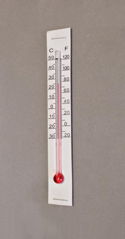 Incubator Thermometer Kit