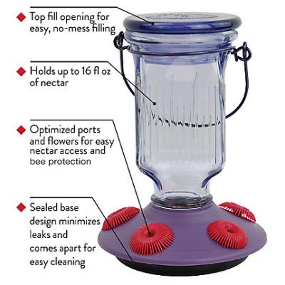 Perky-Pet Lavender Field Top-Fill Glass Hummingbird Feeder - 16 oz