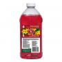 Perky-Pet Red Liquid Hummingbird Nectar Concentrate 64 oz Bottle
