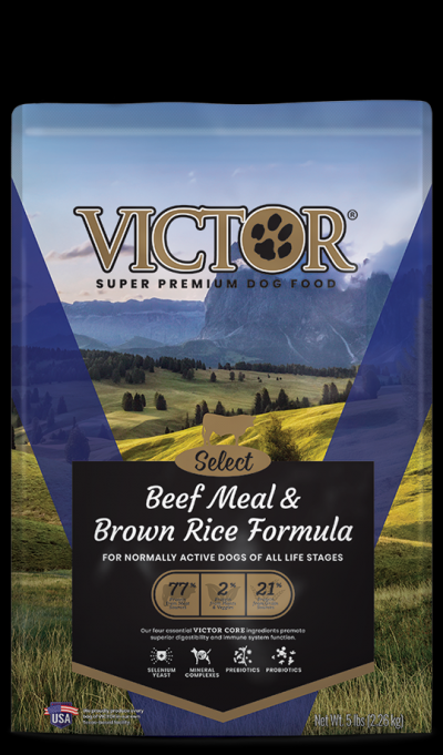 Victor beef outlet and rice