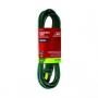 Ace 15ft 16/2 Indoor Extension Cord