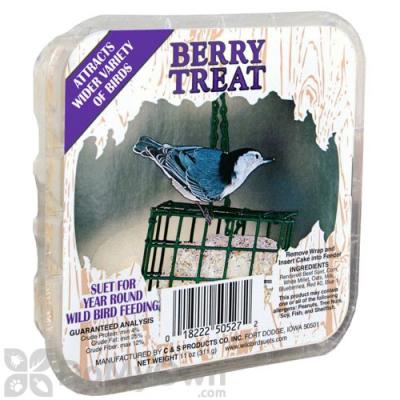 Suet Berry Bird Treat 11oz