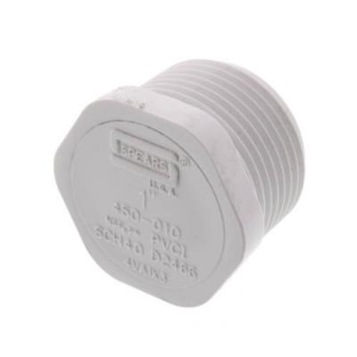 Mueller 1in PVC Male Plug