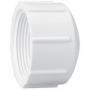 Mueller 1-1/2in Female PVC Cap