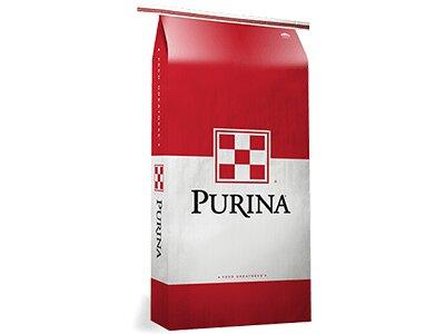 Purina Cattle 20% Range Cubes 50lb