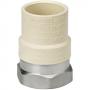 King Brothers Industries 3/4in Socket X CPVC  Adapter