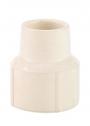 Mueller CPVC 3/4in Female Adapter