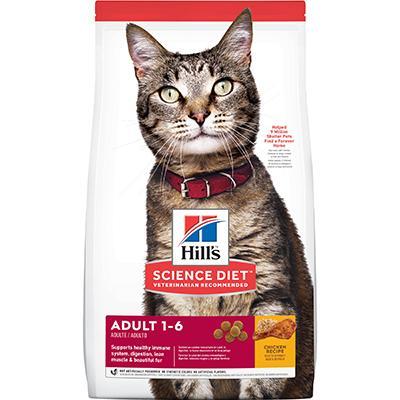 Adult Chicken Recipe Dry Cat Food 16lb