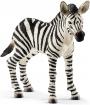 Schleich Zebra Foal