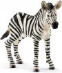 Schleich Zebra Foal