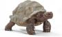 Schleich Giant Tortoise